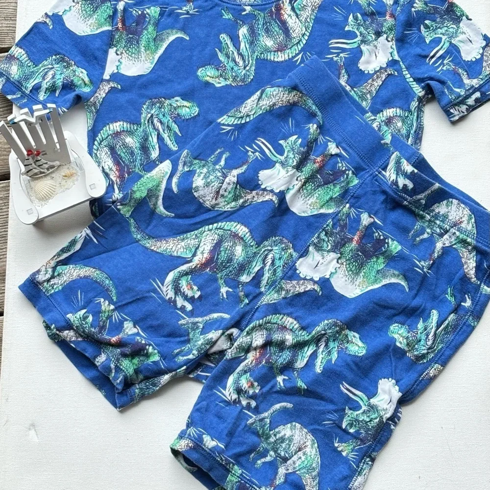 Gap Kids 100% Organic Cotton Dinosaur Graphic PJ Set